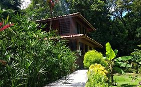 Boutique Hotel Y Spa Tangara Azul